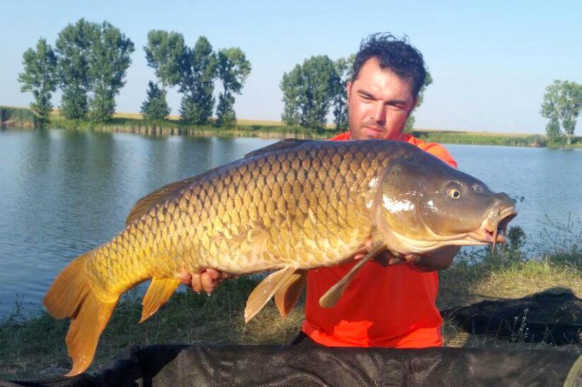 Dolofani - img-20150726-wfgdgfda0018.jpg